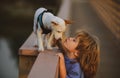 Cute child kissing puppy. Puppies dod playing.