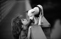 Cute child kissing puppy. Puppies dod playing.