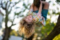 Cute child learning to climb, having fun in summer park. Kids climbing trees, hanging upside down on a tree in a park Royalty Free Stock Photo