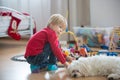 Cute child, playing with colorful toy blocks. Little boy building house of block toys sitting on the floor in sunny spacious Royalty Free Stock Photo