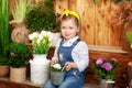 Cute child plays little gardener and plants flowers in pot on porch of the house. Little girl with potted flowers in garden. Happy Royalty Free Stock Photo