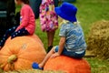 Auckland, New Zealand - Mar 2020. A cute child sitting on a giant pumpkin. Farmers market, with colourful pumpkins on display. Royalty Free Stock Photo