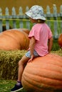 Auckland, New Zealand - Mar 2020. A cute child sitting on a giant pumpkin. Farmers market, with colourful pumpkins on display. Royalty Free Stock Photo