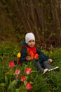 Cute child sitting in a meadow among tulips and holding a huge cone. Selective focus. Royalty Free Stock Photo