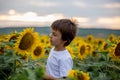 Cute child with sunflower in summer sunflower field on sunset. Royalty Free Stock Photo