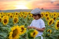 Cute child with sunflower in summer sunflower field on sunset. Royalty Free Stock Photo