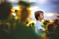 Cute child with sunflower in summer sunflower field on sunset. Royalty Free Stock Photo