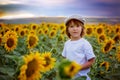 Cute child with sunflower in summer sunflower field on sunset. Royalty Free Stock Photo