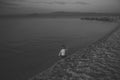 Cute child waving hand at seashore in evening. Boy sits in sea water, rear view. Farewell and parting concept. Toddler