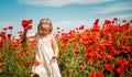 Cute child in white dress girl in poppy field. very happy child girl in poppy field. Girl in poppies.