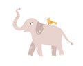 Cute childish gray elephant raising up trunk vector flat illustration. Little amusing bird sitting on back of huge wild