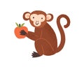 Cute childish monkey sit and hold apple in little paws. Chimpanzee mascot in scandinavian style. Flat vector cartoon Royalty Free Stock Photo