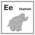 Cute children ABC animal alphabet E letter flashcard of Elephant for kids learning English vocabulary. Royalty Free Stock Photo