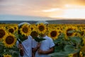 Cute children, boy brothers with sunflower in summer sunflower f Royalty Free Stock Photo