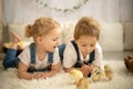 Cute children, boy and girl siblings at home with little newborn chicks, enjoying, cute kid and animal friend in sunny room Royalty Free Stock Photo