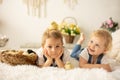 Cute children, boy and girl siblings at home with little newborn chicks, enjoying, cute kid and animal friend in sunny room Royalty Free Stock Photo