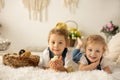 Cute children, boy and girl siblings at home with little newborn chicks, enjoying, cute kid and animal friend in sunny room Royalty Free Stock Photo