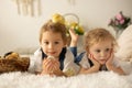 Cute children, boy and girl siblings at home with little newborn chicks, enjoying, cute kid and animal friend in sunny room Royalty Free Stock Photo