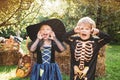 Cute children daughter and son making funny faces with a pumpkin. The concept of child friendship, peace, kindness Royalty Free Stock Photo