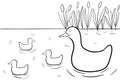 cute children's coloring with duck and ducklings in the river with reeds