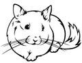 Chinchilla vector