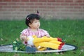 Cute Chinese baby girl play plush toy on the lawn Royalty Free Stock Photo