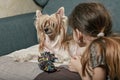 A cute Chinese Crested dog on the couch and her little mistress. Friendship with animals. Love and care for pets Royalty Free Stock Photo