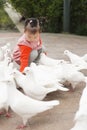 Chinese kid feeding pigeon Royalty Free Stock Photo