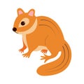 Cute chipmunk. Cartoon forest animal. Vector illustration