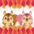 Cute chipmunks animals characters icons