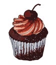 Cute chocolate cupcake