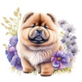 Cute chow-chow dog with flowers on white background generative AI Generative AI Royalty Free Stock Photo