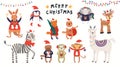 Cute Christmas animals set Royalty Free Stock Photo