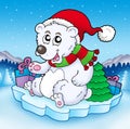Cute Christmas bear with gifts Royalty Free Stock Photo