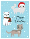 Cute cat christmas card vector image kawaii cat blue background and snow