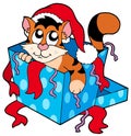 Cute Christmas cat Royalty Free Stock Photo