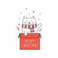 Cute Christmas cat in gift box.