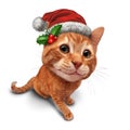 Cute Christmas Cat Royalty Free Stock Photo