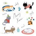 Cute Christmas cats collection Royalty Free Stock Photo