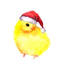 Cute christmas chick in red santa's hat. Watercolor bird