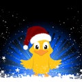 Christmas chick on festive background