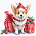 Cute Christmas corgi dog wearing a Santa hat. Merry Christmas