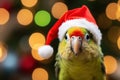 Cute Christmas funny green parrot in red Santa hat Royalty Free Stock Photo