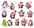 Cute Christmas penguin mascot. Happy penguins characters celebrate New Year, decorate xmas tree and give gifts. Winter