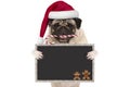 Cute Christmas pug dog with santa hat and candy cane, holding up blank blackboard sign