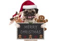 Cute Christmas pug dog with santa hat and candy cane, toys and cookies, holding up blackboard Royalty Free Stock Photo