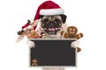 Cute Christmas pug dog with santa hat and candy cane, toys and cookies, holding up blank blackboard sign, Royalty Free Stock Photo