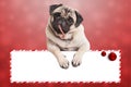 Cute christmas pug puppy dog leaning with paws on blank sign, on red background