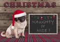 Cute Christmas pug puppy dog with santa hat and blackboard with text naughty or nice Royalty Free Stock Photo