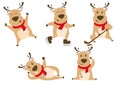 Cute christmas reindeer illustration icon set Royalty Free Stock Photo